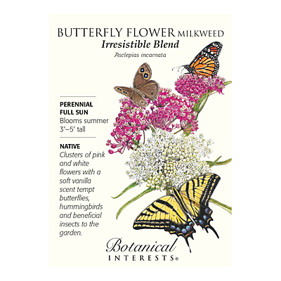 Seeds - BI Milkweed Irresistible