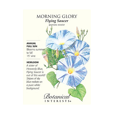 Seeds - BI Morning Glory Flying Saucer
