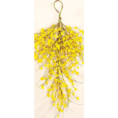 Teardrop - Forsythia