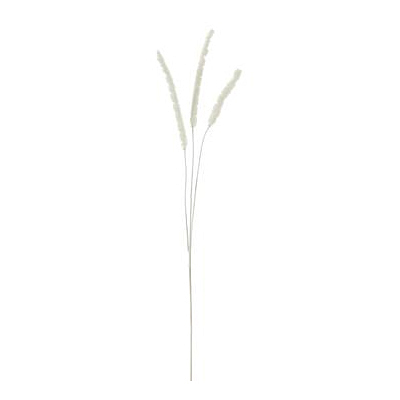 Foxtail Grass Spray - White
