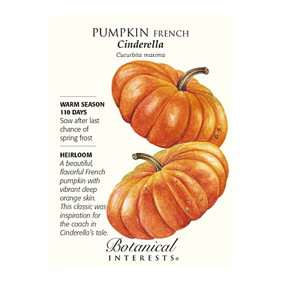 Seeds - BI Pumpkin French Cinderella
