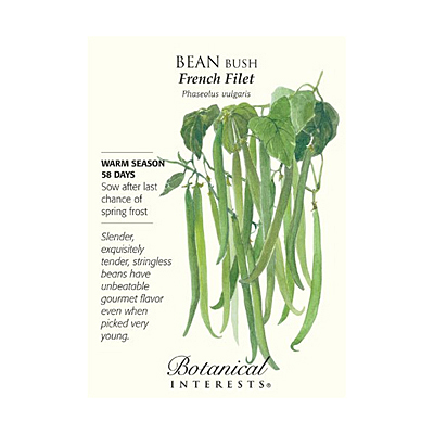 Seeds - BI Bean Bush French Filet