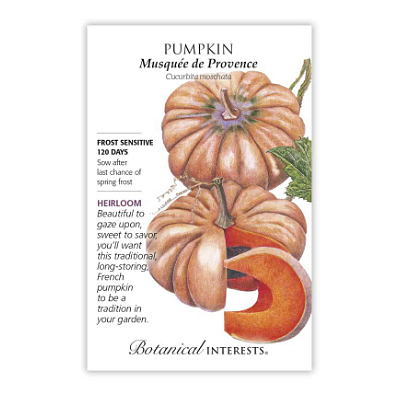 Seeds - BI Pumpkin French Musquee d'Provence