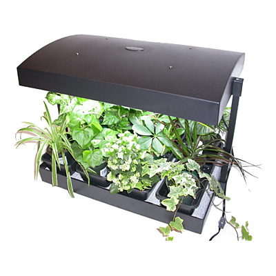 Grow Light Garden - Sunblaster T5HO