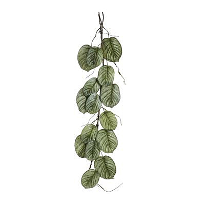 Garland - Calathea, Green