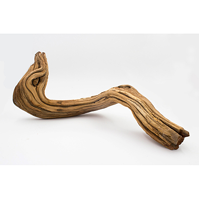 Ghost Wood