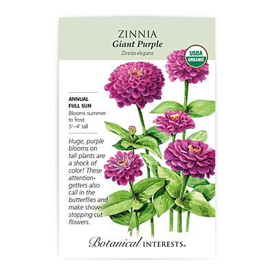 Seeds - BI Zinnia Giant Purple Org