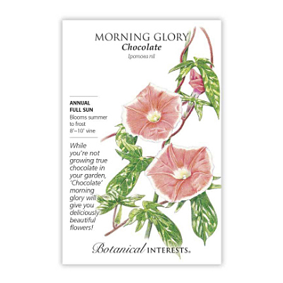 Seeds - BI Morning Glory Chocolate
