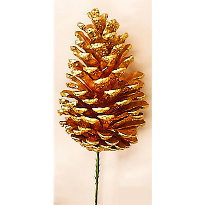Pick - Loblolly Single Cone Gold