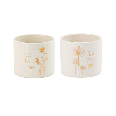 Gold Decal Planter