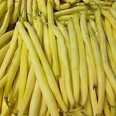 Beans 'Gold Rush'