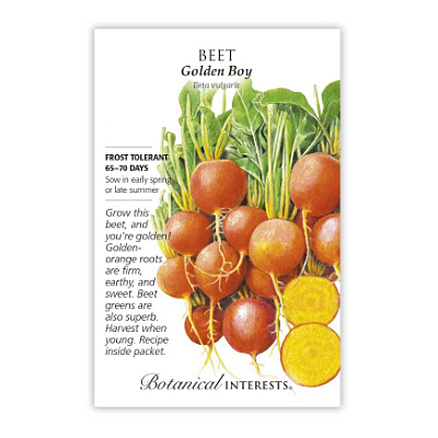 Seeds - BI Beet Golden Boy