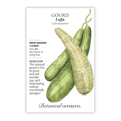 Seeds - BI Gourd Luffa