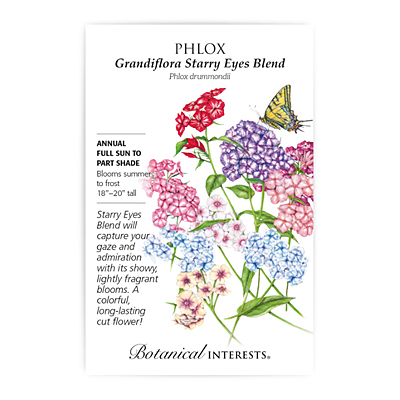 Seeds - BI Phlox Grandiflora Starry
