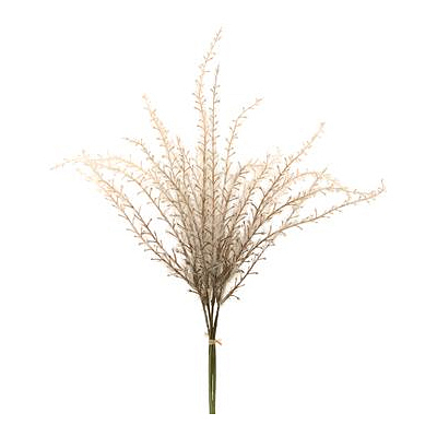 Reed Grass Spray - Beige