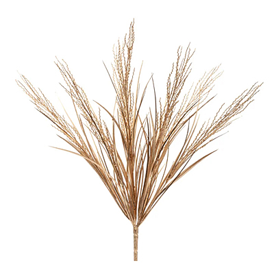 Bush - Wild Grass