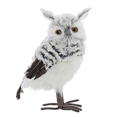 Gray/White Owl
