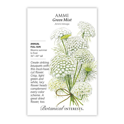 Seeds - BI Ammi Green Mist