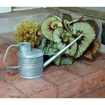 Watering Can - Galvanized Greenhouse