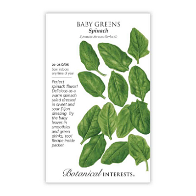 Seeds - BI Baby Greens Spinach