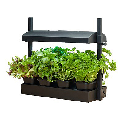 Grow Light - Garden Micro Black
