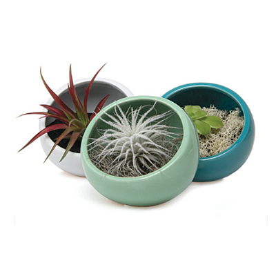 Half Moon Planter