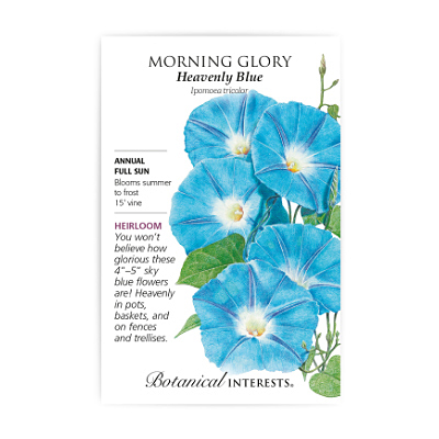 Seeds - BI Morning Glory Heavenly Blue