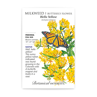 Seeds - BI Milkweed Hello Yellow
