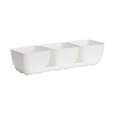 Novelty Herb Trio - White