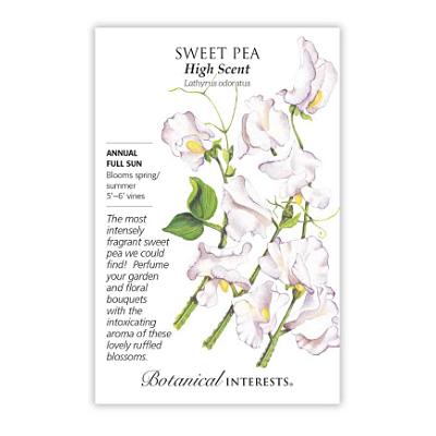 Seeds - BI Sweet Pea High Scent