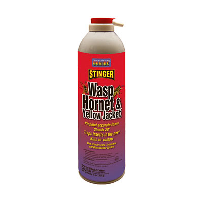 Bonide Wasp and Hornet Foam