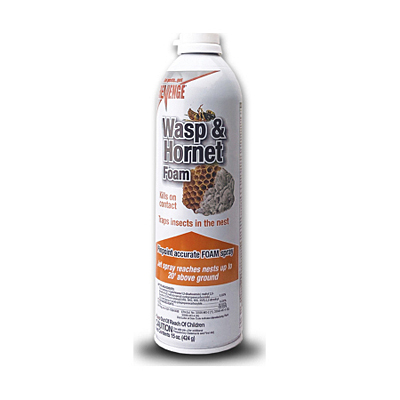 Revenge Wasp & Hornet Foam