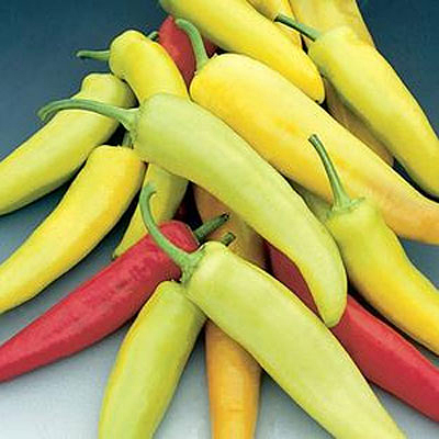 Pepper 'Hot Banana'
