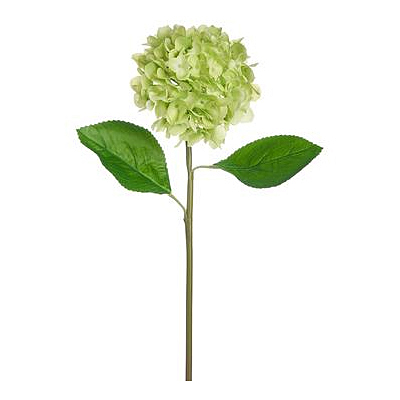 Hydrangea Spray - Lime