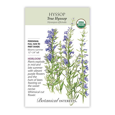 Seeds - BI Hyssop True Org