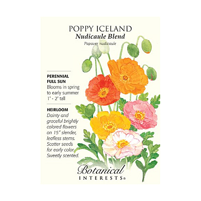 Seeds - BI Poppy Iceland Nudicaule Blend