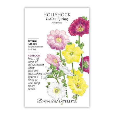 Seeds - BI Hollyhock Indian Spring