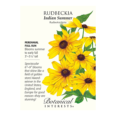 Seeds - BI Rudbeckia Indian Summer