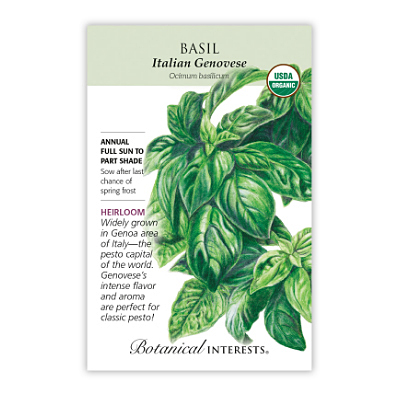 Seeds - BI Basil Italian Genovese Org