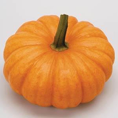 Pumpkin 'Jack-Be-Little'