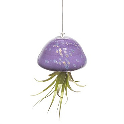 AM Jellyfish Airplant Holder - Purple