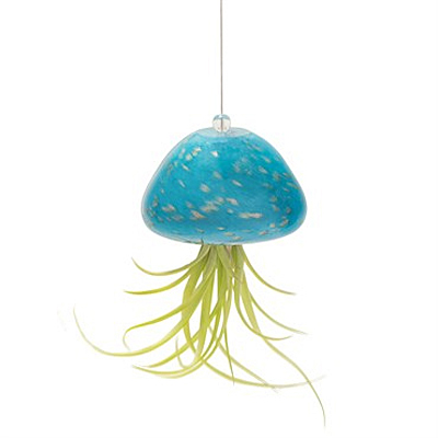 AM Jellyfish Airplant Holder - Teal Gold