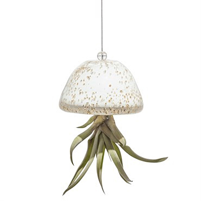 AM Jellyfish Airplant Holder - White/Gold