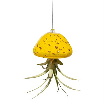 AM Jellyfish Airplant Holder - Yellow/Gold