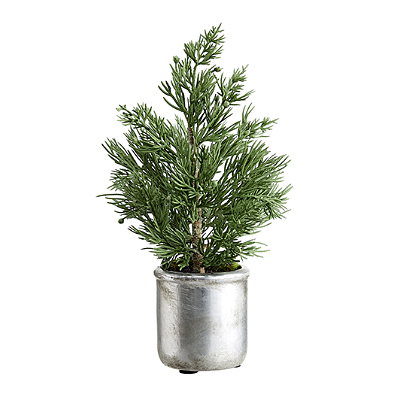 Juniper Tree in Stoneware Pot