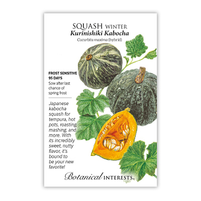 Seeds - BI Squash Winter Kabocha Hybrid