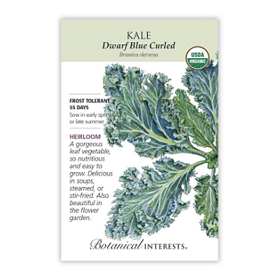Seeds - BI Kale Dwarf Blue Curled Org