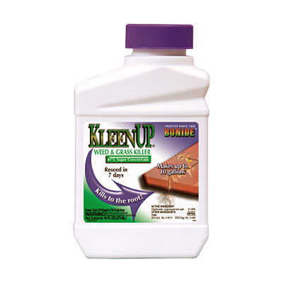 Bonide KleenUp Grass and Weed Killer Concentrate