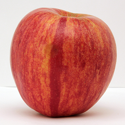 Malus d. 'KinderKrisp'