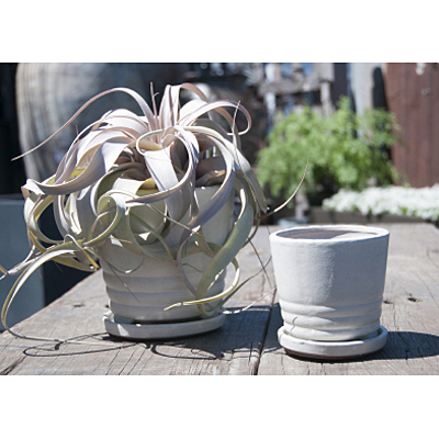 Kona Indoor Planter with Saucer - White Spots